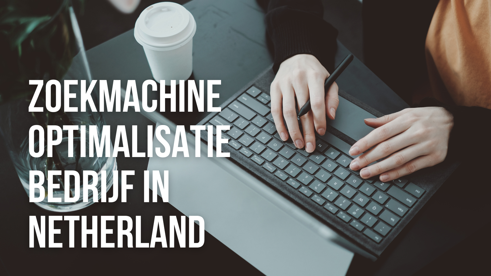 Zoekmachine optimalisatie bedrijf in Netherland